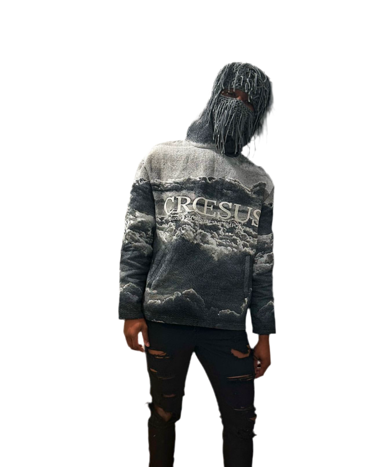 "Ascension" (Tapestry Woven Hoodie)