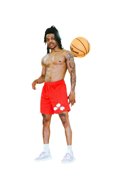 “Clouded” Mesh Shorts