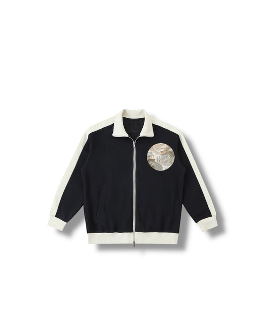 Moon Catcher (1 of 1) - #61